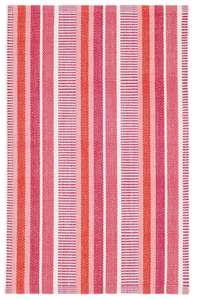 AG Pink/Orange Indoor Outdoor Rug