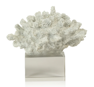 White Coral on Acrylic Base